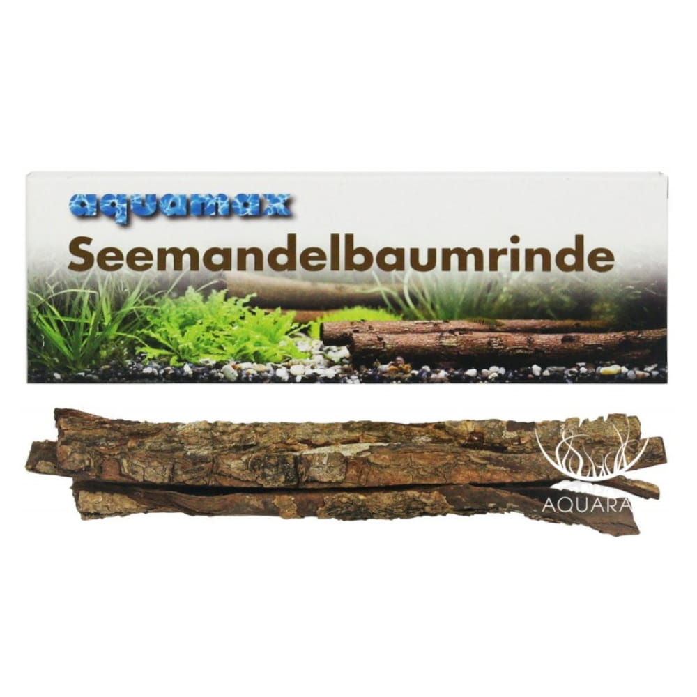 KORA Migdałecznika.jpg